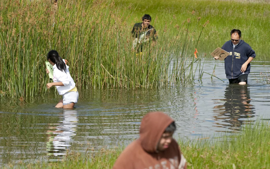 University of California, Irvine