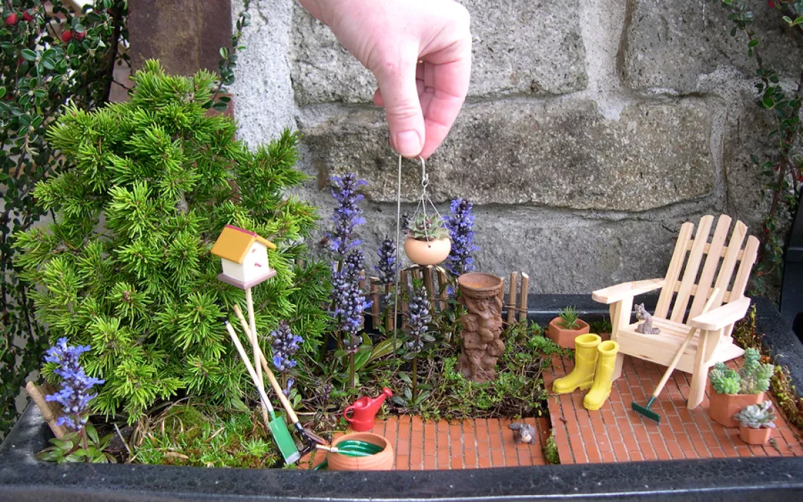 Mini Gardens