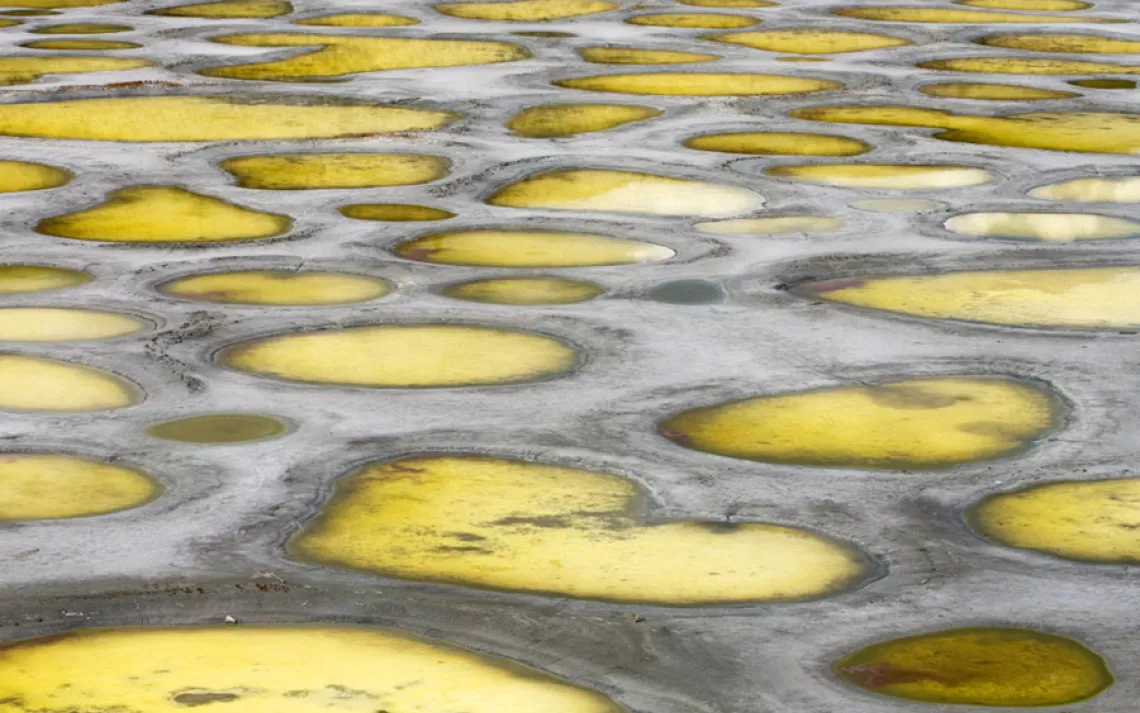 Spotted Lake, British Columbia