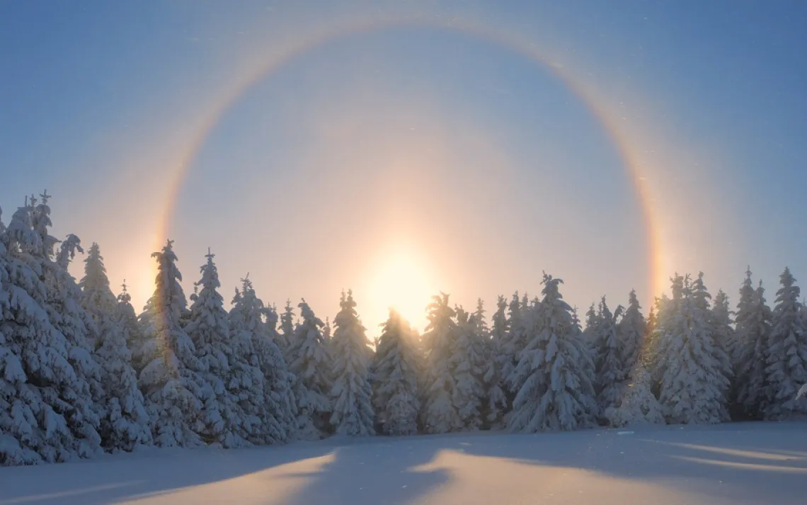 Sun halos