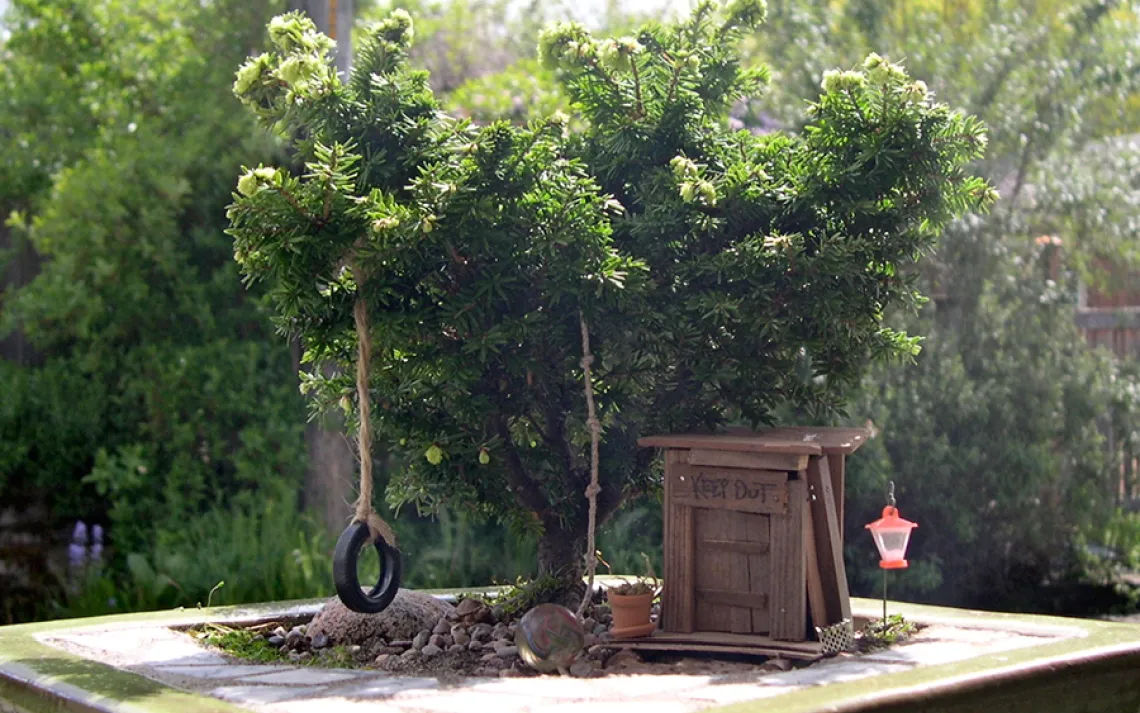 Mini Gardens