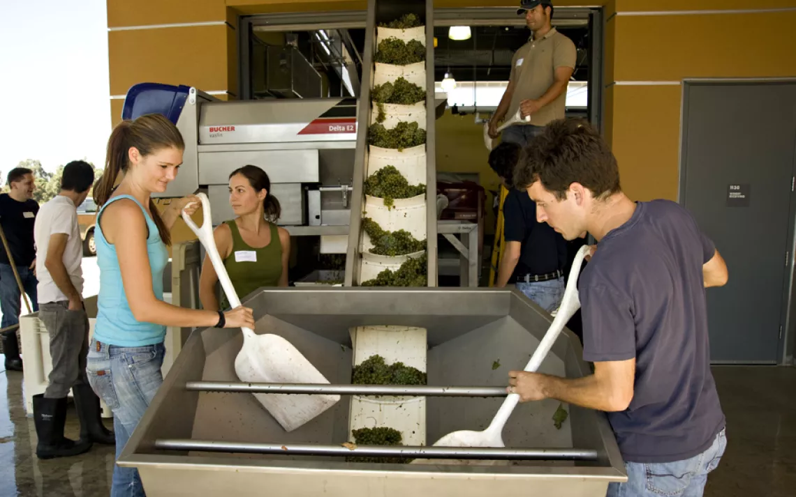 University of California, Davis