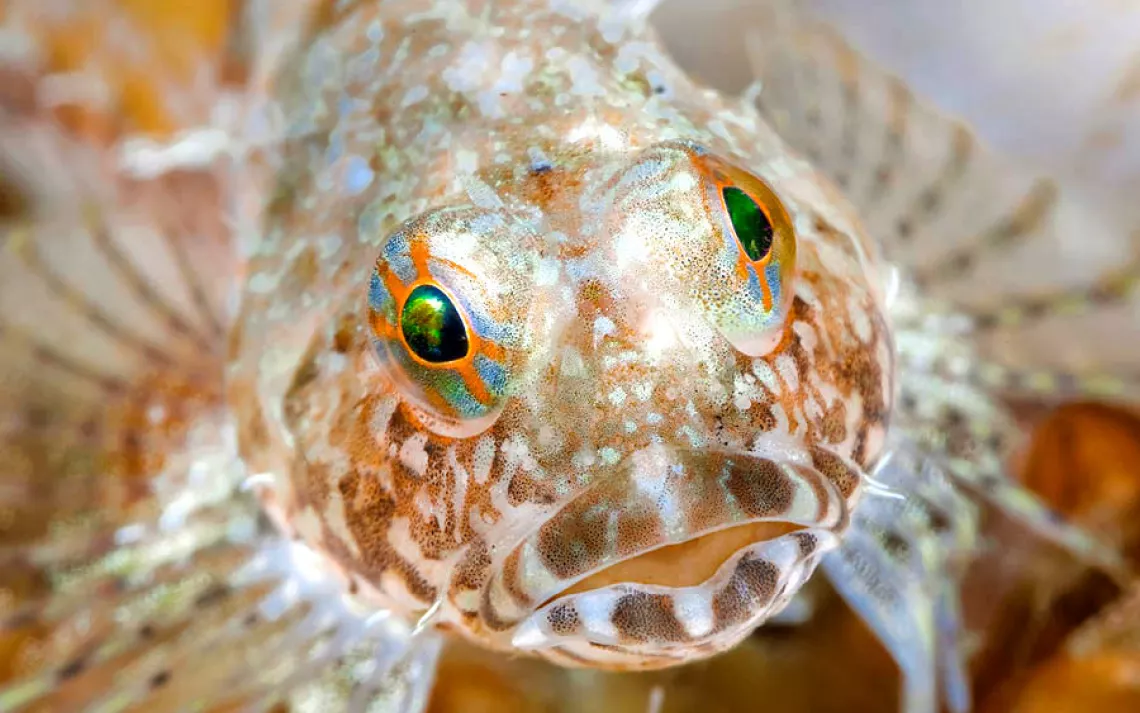 Underwater World