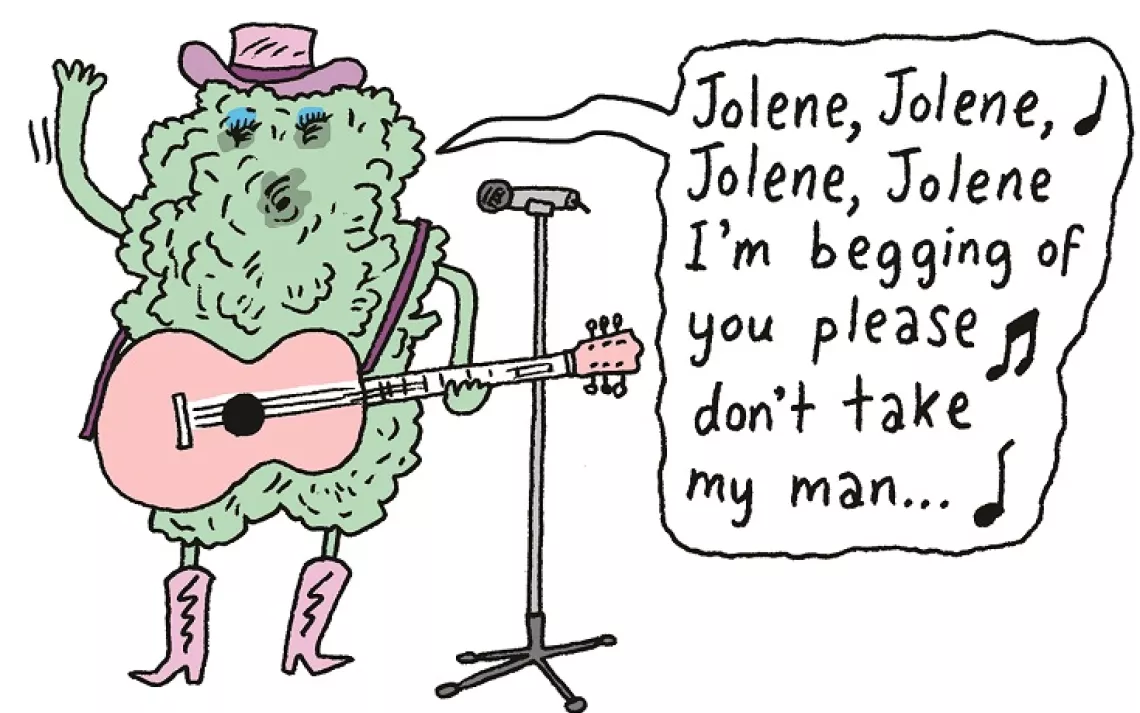 A new species of lichen discovered in Appalachia is named after country singer Dolly Parton.
