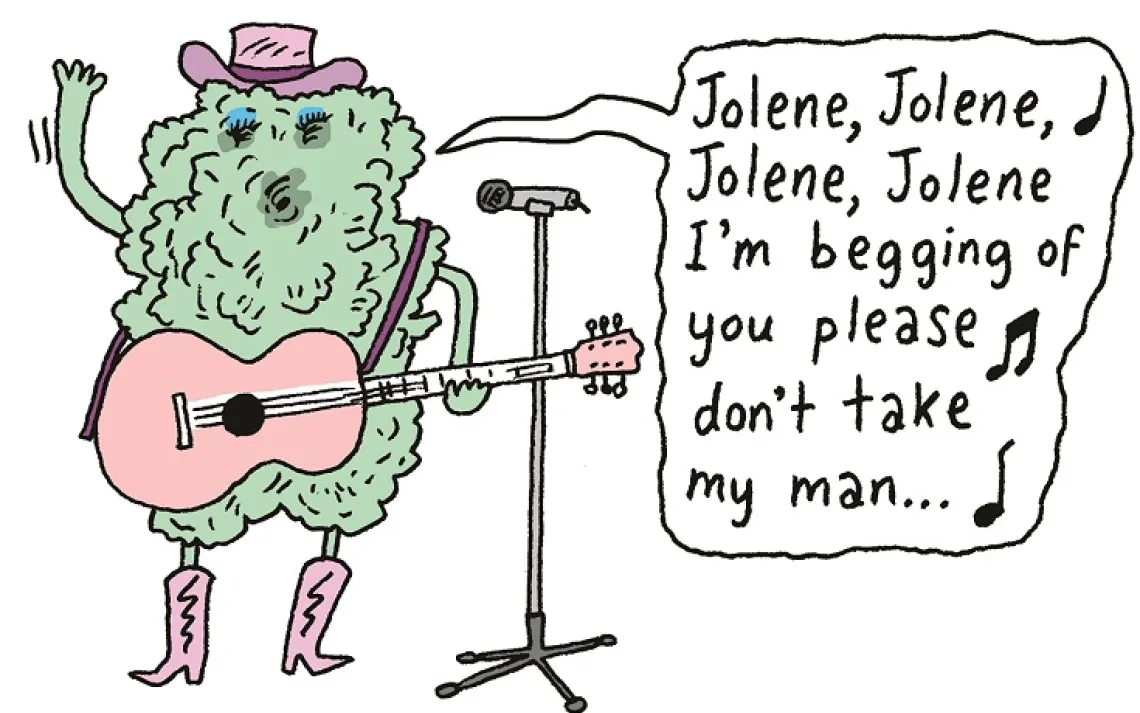 A new species of lichen discovered in Appalachia is named after country singer Dolly Parton.