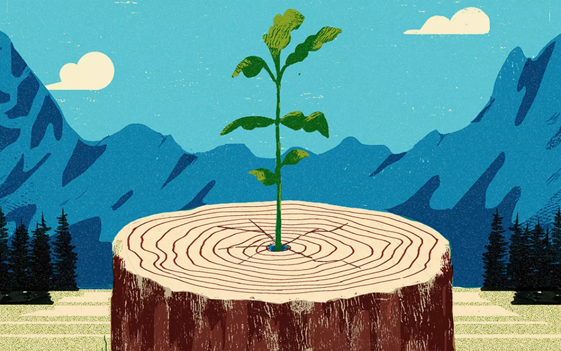 Sierra Club executive director Michael Brune says the organization's history is one of  continuous growth and change.