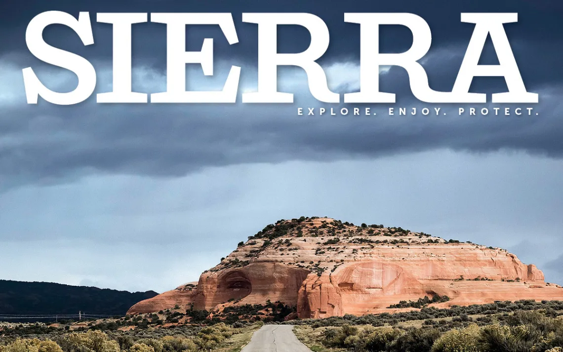 Public Lands Belong to All of Us