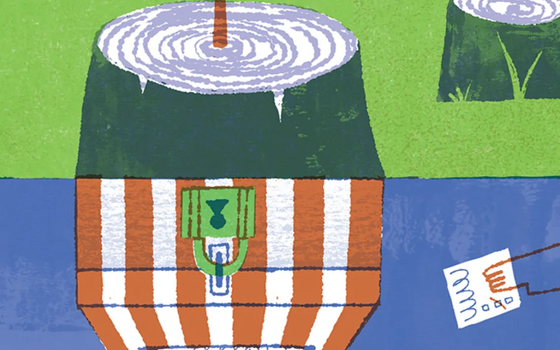 Illustration shows a split panel with sawed-off tree trunks (one has a new sprout growing). The bottom shows several hands putting ballots in a box.