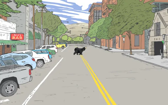 bear