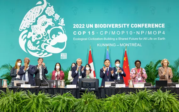 Adoption of the Kunming Montreal Global Biodiversity Framework