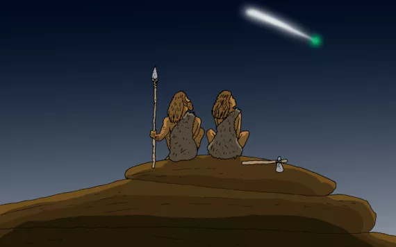 Illustration by Peter Arkle