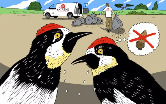 Illustration by Peter Arkle