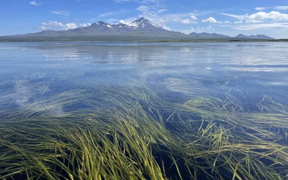 Izembek