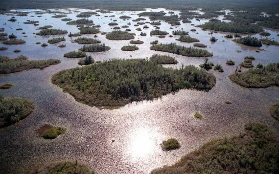 Okefenokee