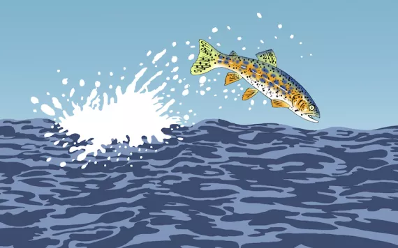 ICYMI: Beautiful New Trout, Portland Wolverine, Killer Tornado in Mississippi & Mammoth Meatballs