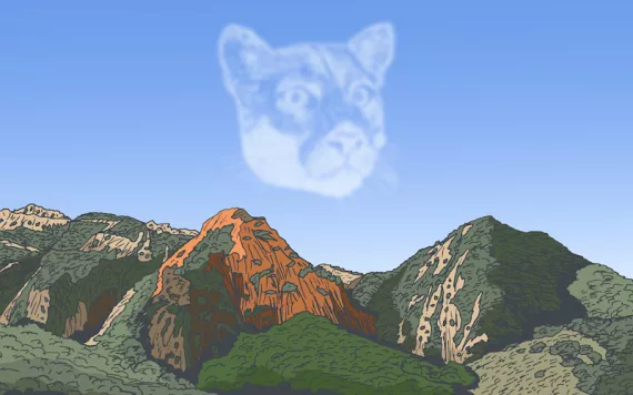 Illustration by Peter Arkle