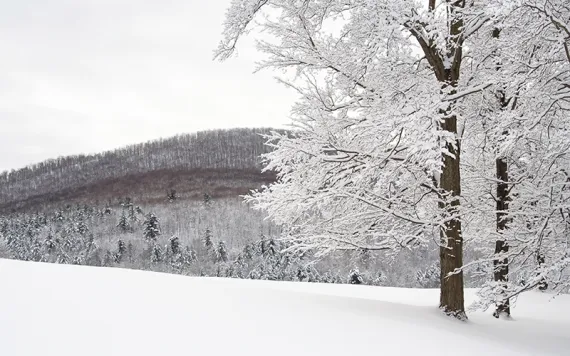 snowpack