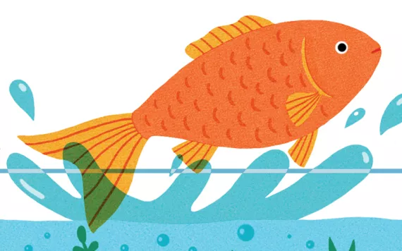 Illustration of a short fishbowl and a goldfish jumping out.