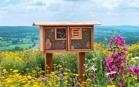 BUG HOTEL TN