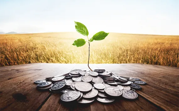 Small green plant growing from a bunch of cent coins