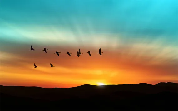 Photo by mbolina/iStock