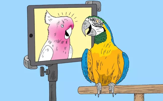 Illustration by Peter Arkle