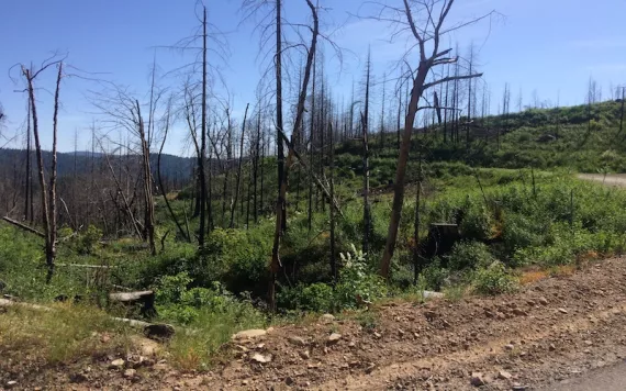 Photo courtesy of Mark Egbert