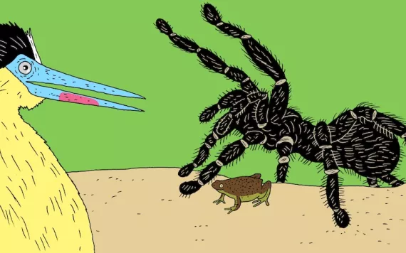 Illustration by Peter Arkle