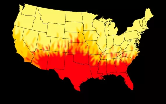 Illustration by Peter Arkle