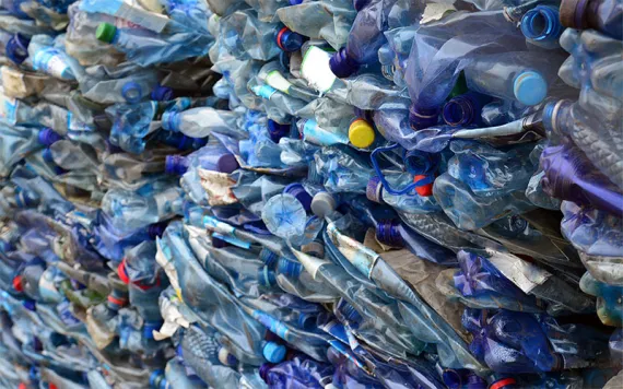 Plastic pollution
