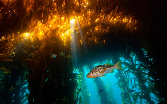 Photo by Reinhard Dirscherl/Alamy Stock Photo