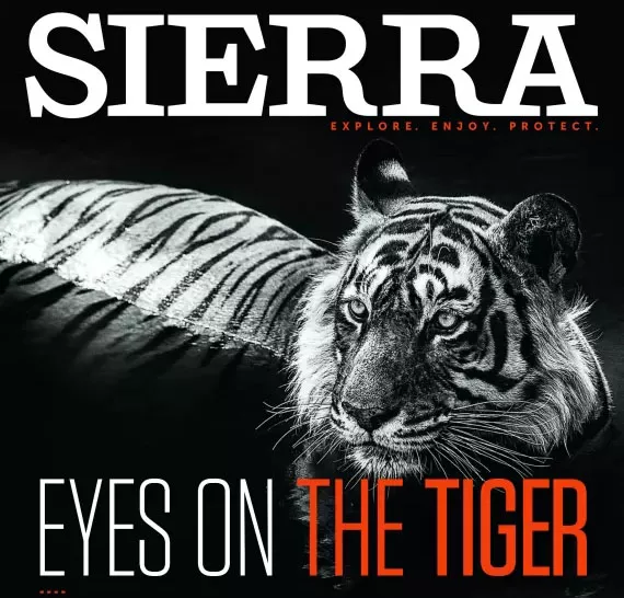 Sierra magazine cover
