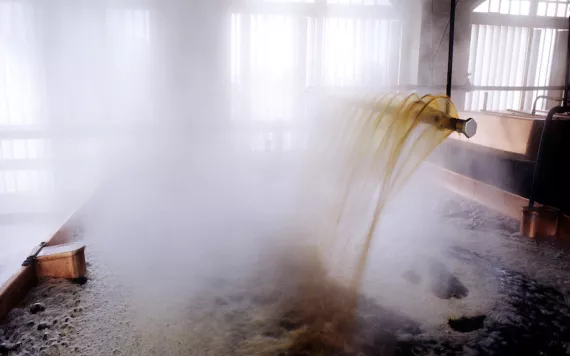 Photo by Holmes Garden Photos/Alamy Stock Photo