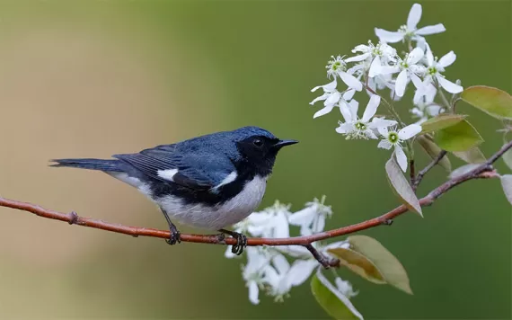 Photo by BrianLasenby/iStock