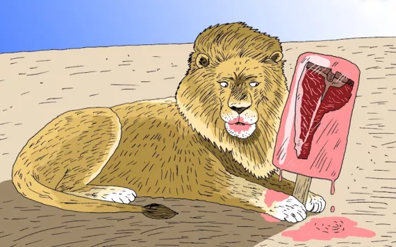 illustration of a lion eating a popsicle