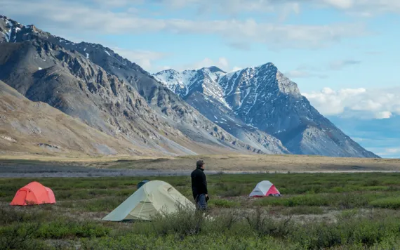  A man stands near four tents in an Arctic Refuge valley meadow with snowcapped mountains in the background.