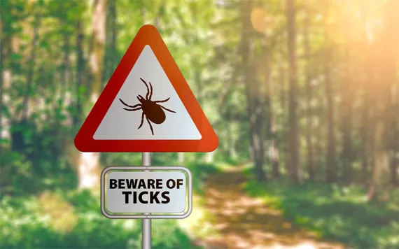 close-up of warning sign with text BEWARE OF TICKS, against defocused forest background Photo by Christian Horz/iStock