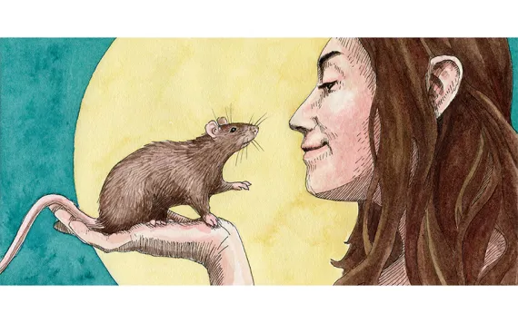 Illustration by Sarah Gilman