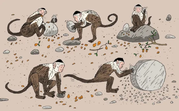 illustration of monkeys using tools