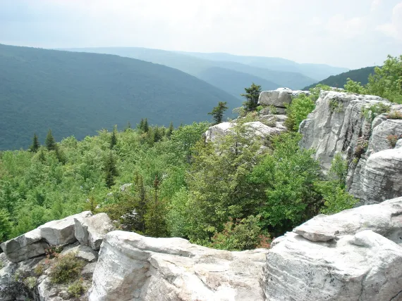 View from Breathed Mountain, Dolly Sods Wilderness, West Virginia