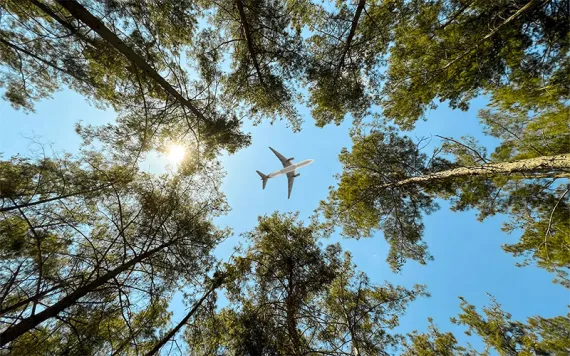 Photo by yalcinsonat1/iStock