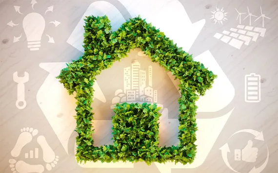 illustration of a house outlined in green plants