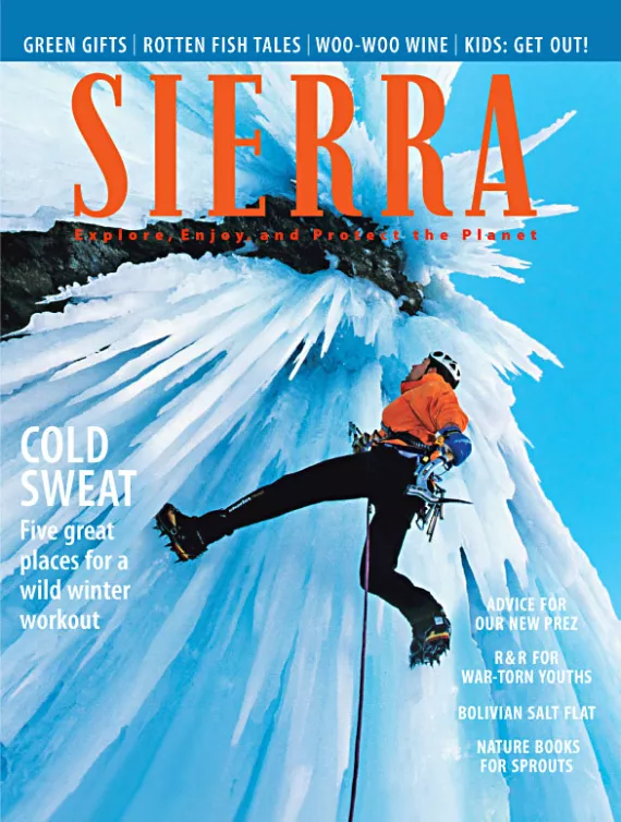 Sierra magazine January/February 2009