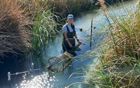  Emma Priger is wearing waders and smiling at the camera while holding a hoop net in a narrow tallgrass-lined stream.