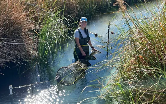  Emma Priger is wearing waders and smiling at the camera while holding a hoop net in a narrow tallgrass-lined stream.