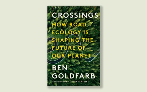 Crossings: How Road Ecology Is Shaping the Future of Our Planet