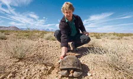 Biologist Ken Nussear with a species that has little use for the golf courses, housing tracts, and casinos that are replacing its native habitat.