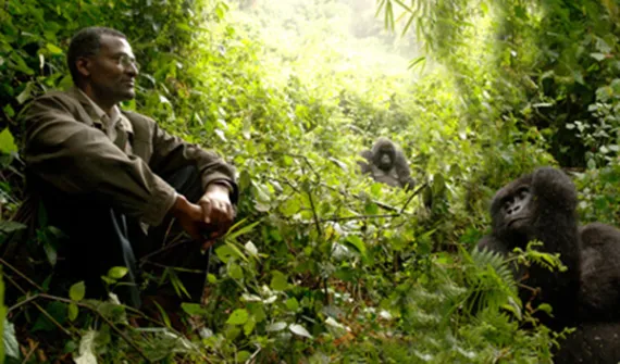 2001 Goldman Environmental Prize winner Eugène Rutagarama