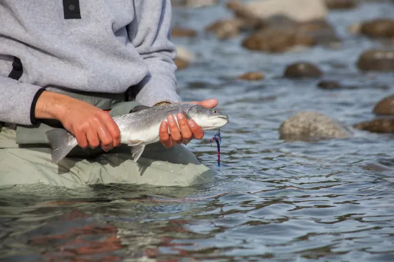 man fishing