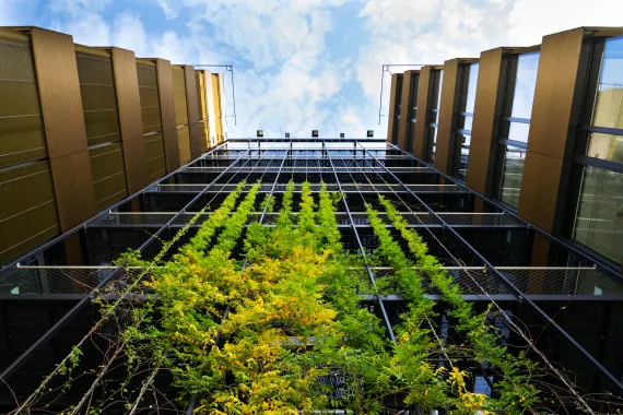 Modern office building